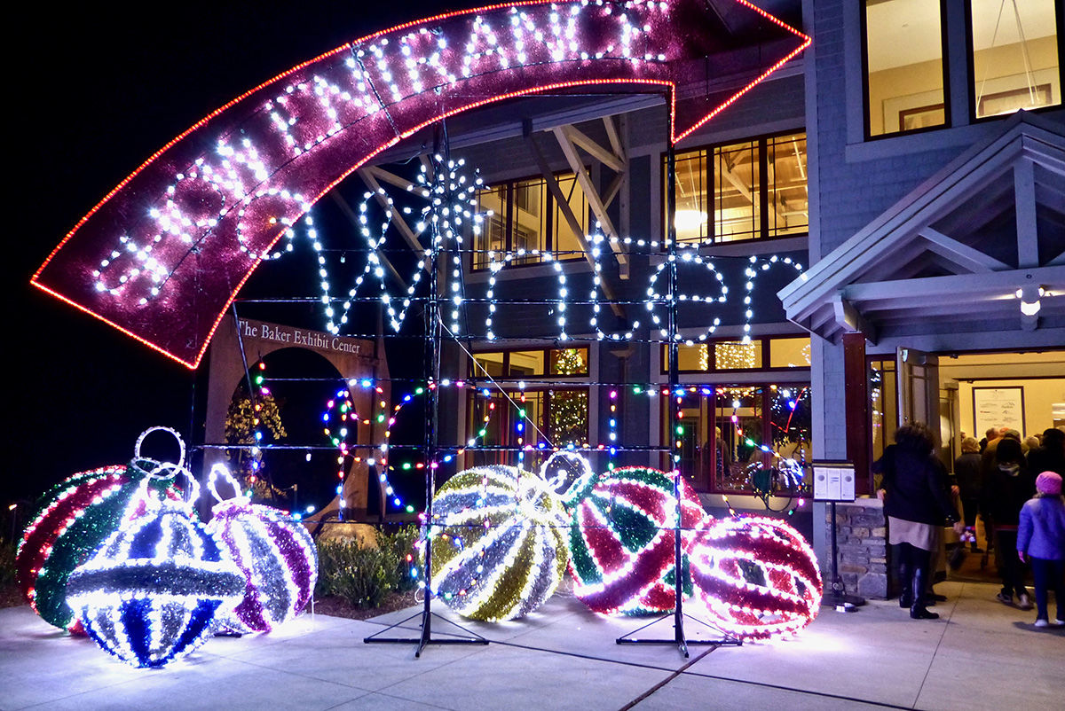 Winter Lights entrance